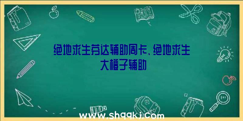 绝地求生芬达辅助周卡、绝地求生